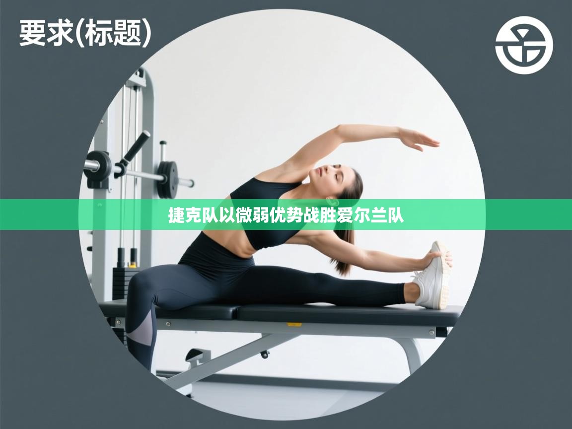 捷克队以微弱优势战胜爱尔兰队